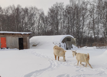 Similar image 21805894