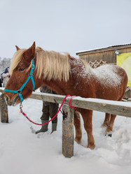 Similar image 21805895