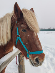 Similar image 21805897