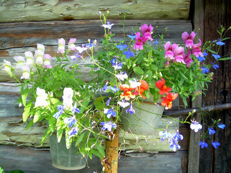 Similar image 21804798