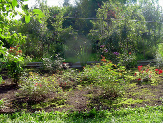 Similar image 21804802