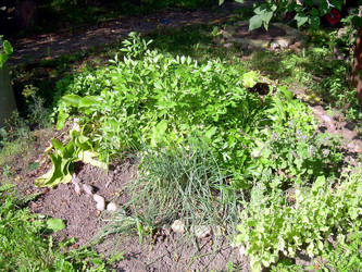 Similar image 21804803