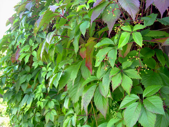 Similar image 21804805