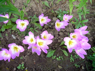 Similar image 21804807