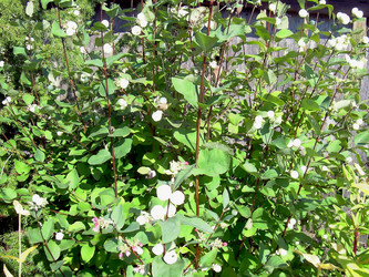 Similar image 21804809