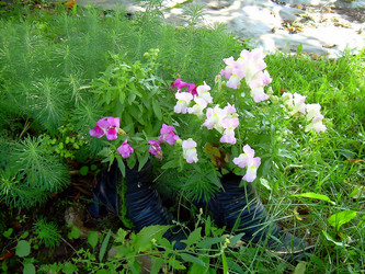 Similar image 21804810