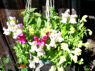 Similar image 21804720