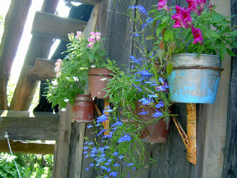 Similar image 21804726