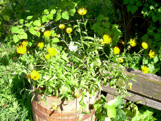 Similar image 21804732