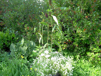 Similar image 21804812