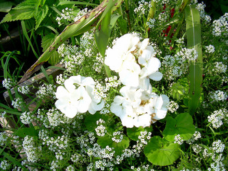 Similar image 21804814