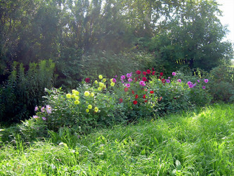 Similar image 21804815