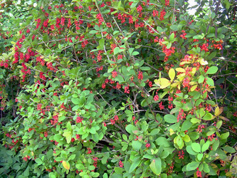 Similar image 21804817