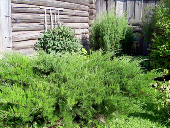 Similar image 21804819