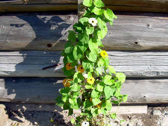 Similar image 21804820