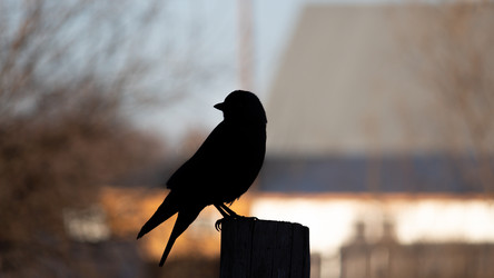 Similar image 21804980