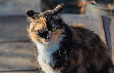 Similar image 21804982