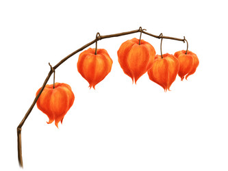 Similar image 21804997