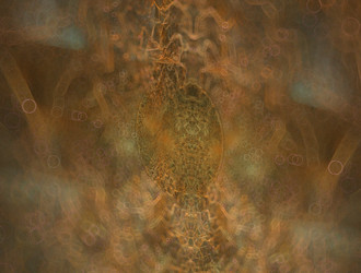 Similar image 21810544