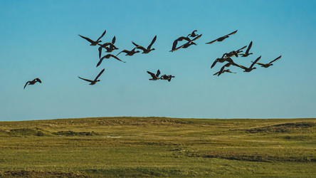 Similar image 21805248