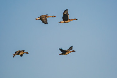 Similar image 21805249