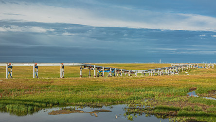 Similar image 21805250