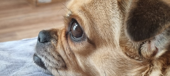 Similar image 21805000