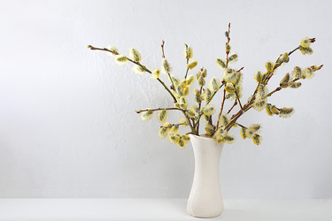 Similar image 21804880