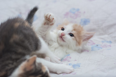 Similar image 21805346