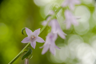 Similar image 21805412