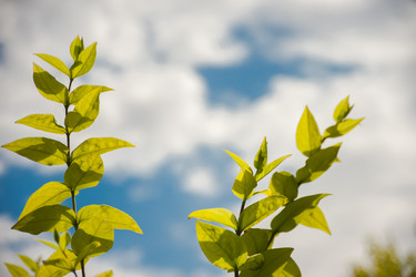 Similar image 21805413