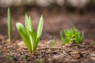 Similar image 21805418