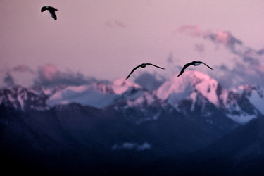 Similar image 21805419