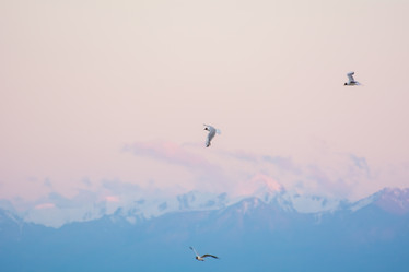 Similar image 21805420