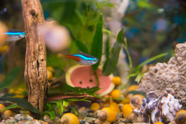 Similar image 21805423