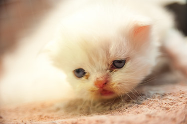 Similar image 21805424