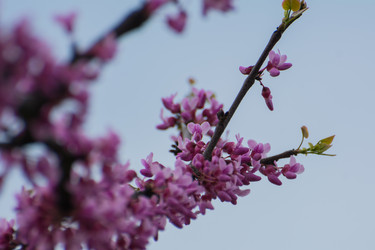 Similar image 21805425