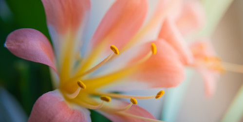 Similar image 21805426