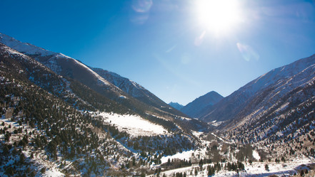 Similar image 21805427