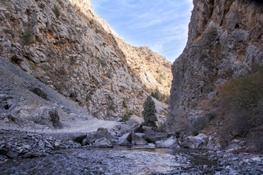 Similar image 21805428