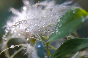 Similar image 21805432