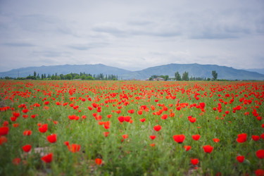 Similar image 21805438