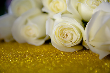 Similar image 21805441