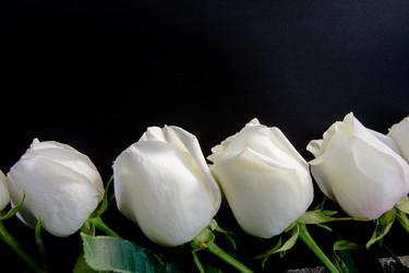 Similar image 21805442