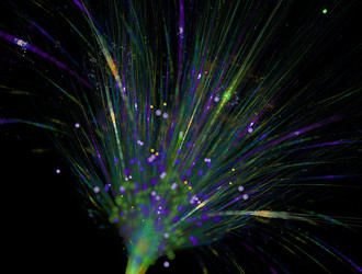 Similar image 21812696