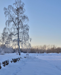 Similar image 21805006