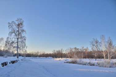 Similar image 21805008