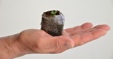 Similar image 21805012