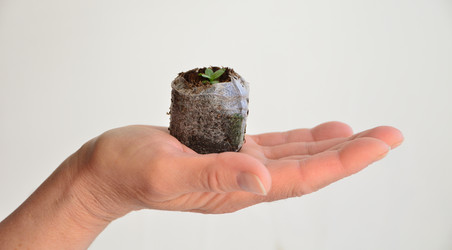 Similar image 21805013