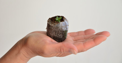 Similar image 21805014